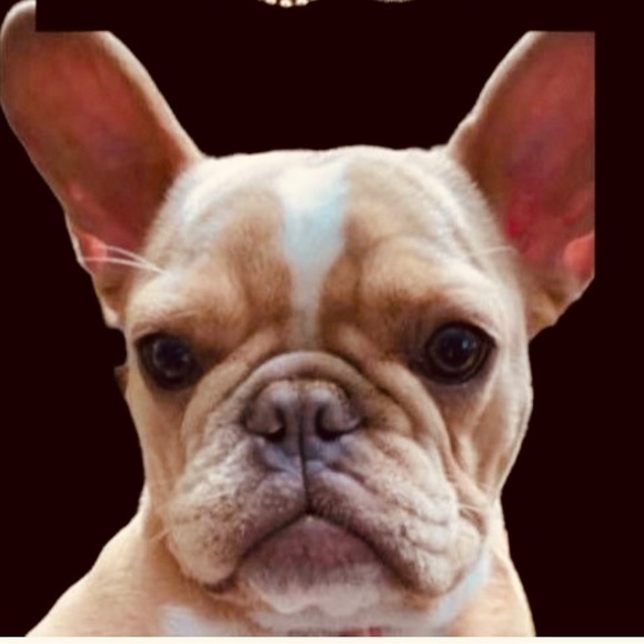 Vintage Jewelry Mosaic - Favorite Furry Friend - Picture 2 of 8